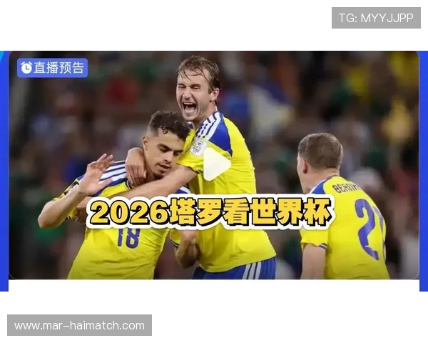 2026年世界杯日本VS瑞典比赛打法特点详解及战术布置分析
